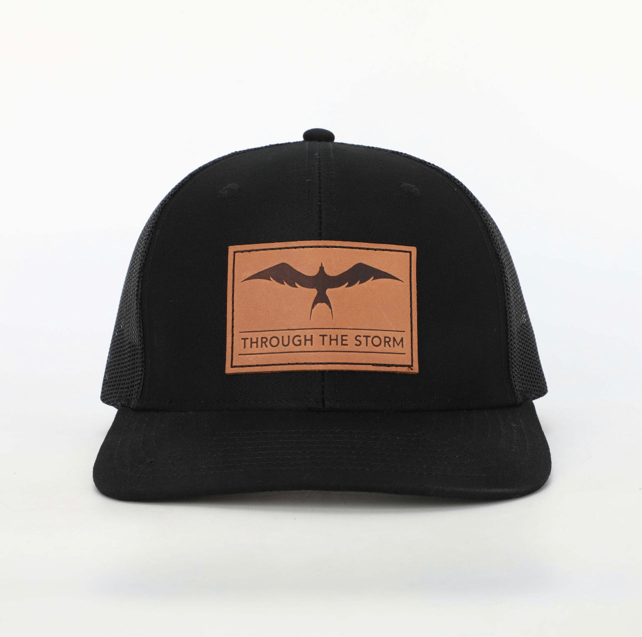 Strength In Flight 6 Panel low profile Hat
