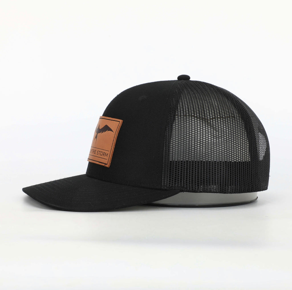 Strength In Flight 6 Panel low profile Hat